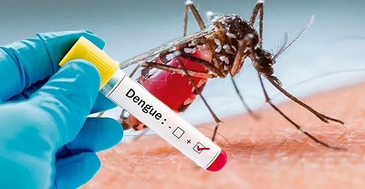 Dengue: actualización epidemiológica semanal